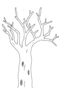 Coloriage Branche D Arbre Dessin D Arbre A Imprimer Gallery Avec Et Dessin Branche D