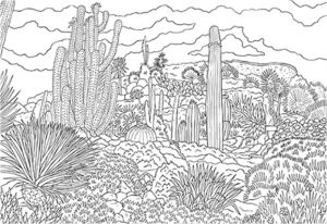 Coloriage Cabane De Jardin Coloriage à Télécharger Le Jardin D Èze Loisirs Notre