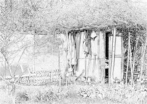 Coloriage Cabane De Jardin Coloriage Tn La Cabane De Jardin à Imprimer Pour Les