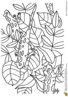 Coloriage Cache Cache à Imprimer 15 Meilleures Images Du Tableau Habileté Spaciale