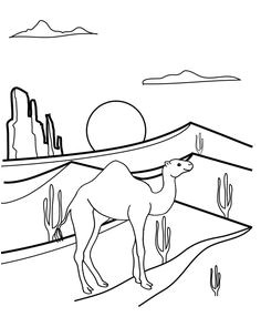 Coloriage Chameau Gratuit Fun Camel Coloring Pages