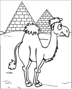 Coloriage Chameau Gratuit Fun Camel Coloring Pages