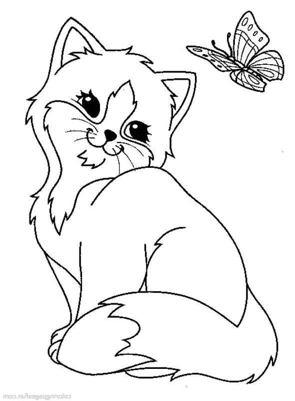Coloriage Chat A Imprimer Coloriage Chats Gratuit à Imprimer