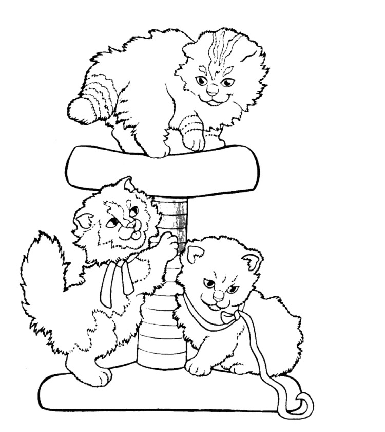 Coloriage Chats Et Chatons Sur Hugolescargot Com Coloriage A Imprimer Chat