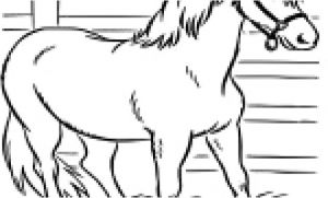 Coloriage Cheval Gratuit En Ligne 100 Jeux De Chevaux Gratuit En Ligne Pour Fille