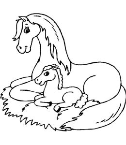 Coloriage Cheval Gratuit En Ligne Coloriage204 Coloriage De Chevaux à Imprimer Gratuit