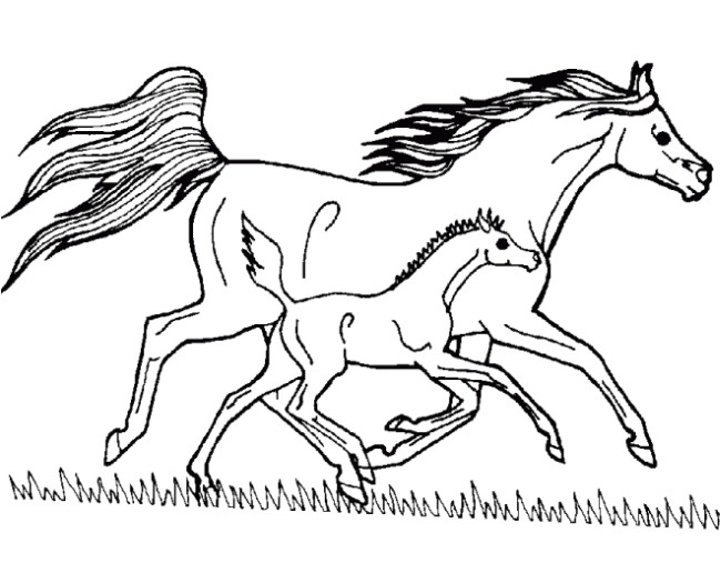 Coloriage Cheval Imprimer Gratuit 20 Dessins De Coloriage Cheval En Ligne à Imprimer