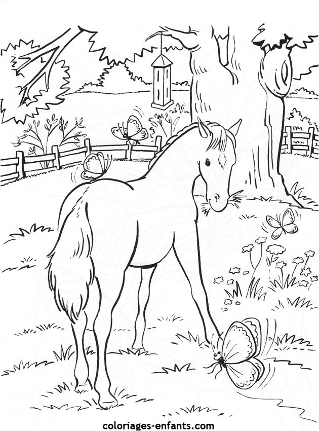 Coloriage Cheval Imprimer Gratuit 20 Dessins De Coloriage Cheval Gratuit à Imprimer