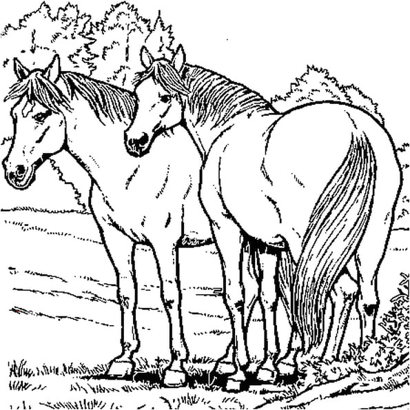 Coloriage Cheval Imprimer Gratuit Coloriage Des Animaux De La Ferme