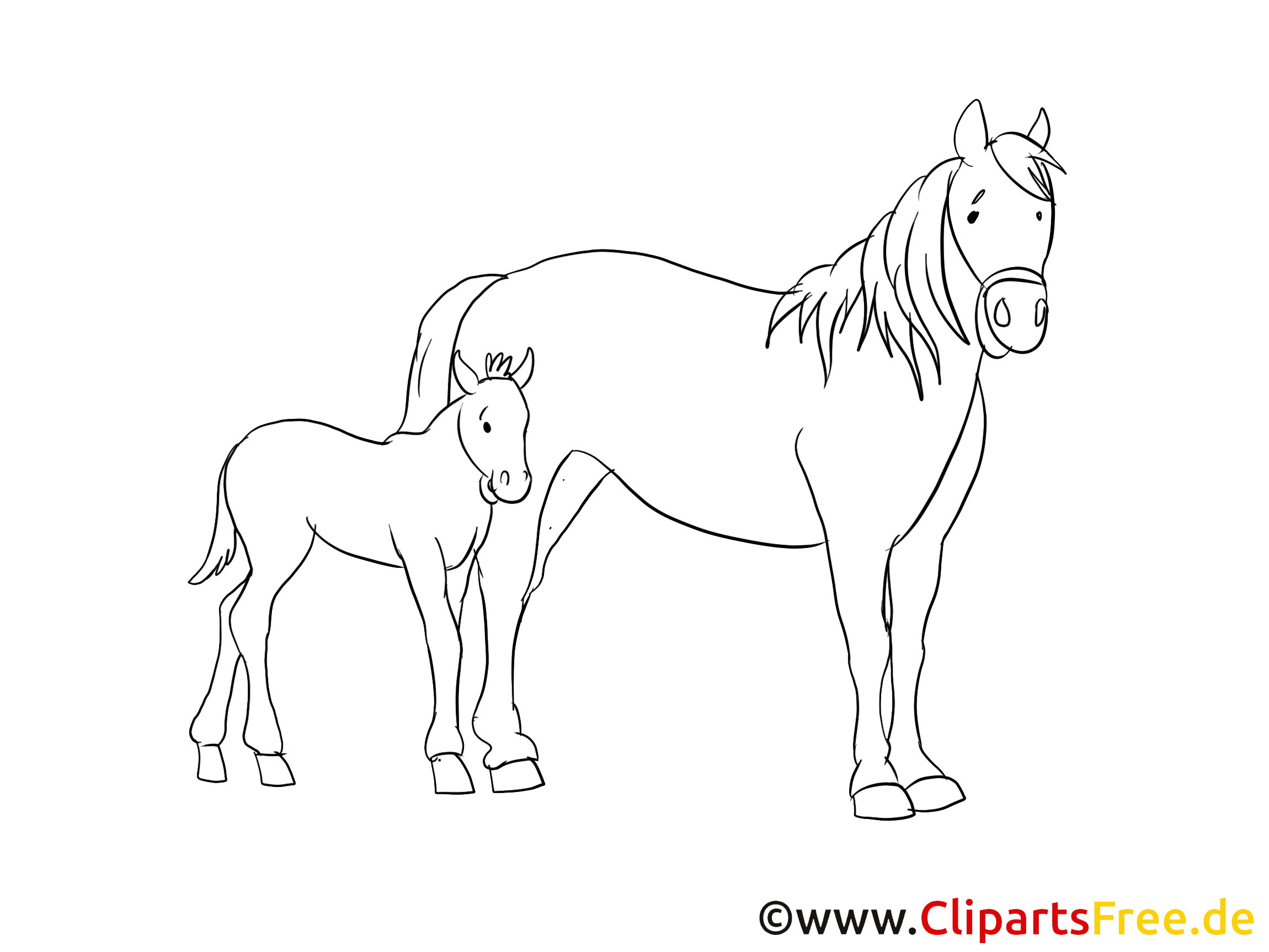 Coloriage Cheval Imprimer Gratuit Poulain Dessin à Imprimer – Cheval Clip Arts Gratuits