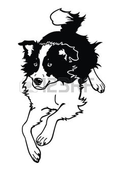 Coloriage Chien Border Collie 103 Meilleures Images Du Tableau Gravure Chien