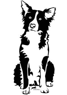Coloriage Chien Border Collie 28 Meilleures Images Du Tableau Pour Mon toutou