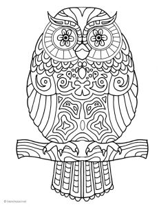 Coloriage Chouette A Imprimer Coloriage Hibou Ou Chouette Dessin Anti Stress Gratuit