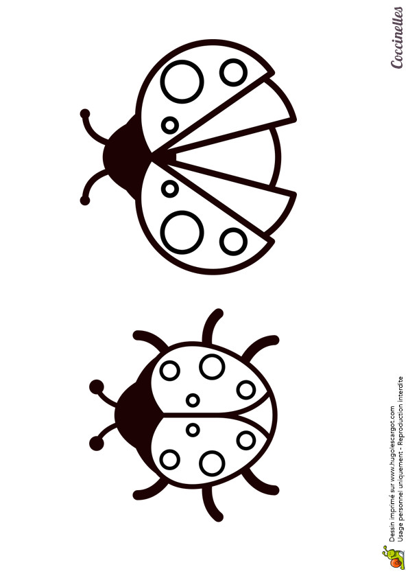 Coloriage Coccinelle A Imprimer Gratuit Deux Images Vue D En Haut De Deux Coccinelles   Colorier
