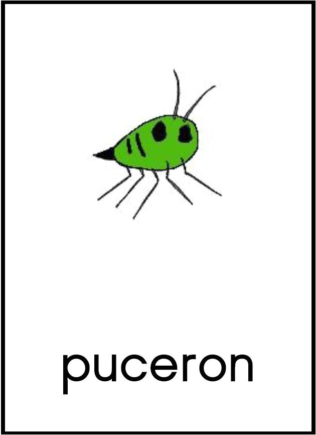 Coloriage Coccinelle Mal Lunée Coloriage Coccinelle Mal Lunee Ohbqfo