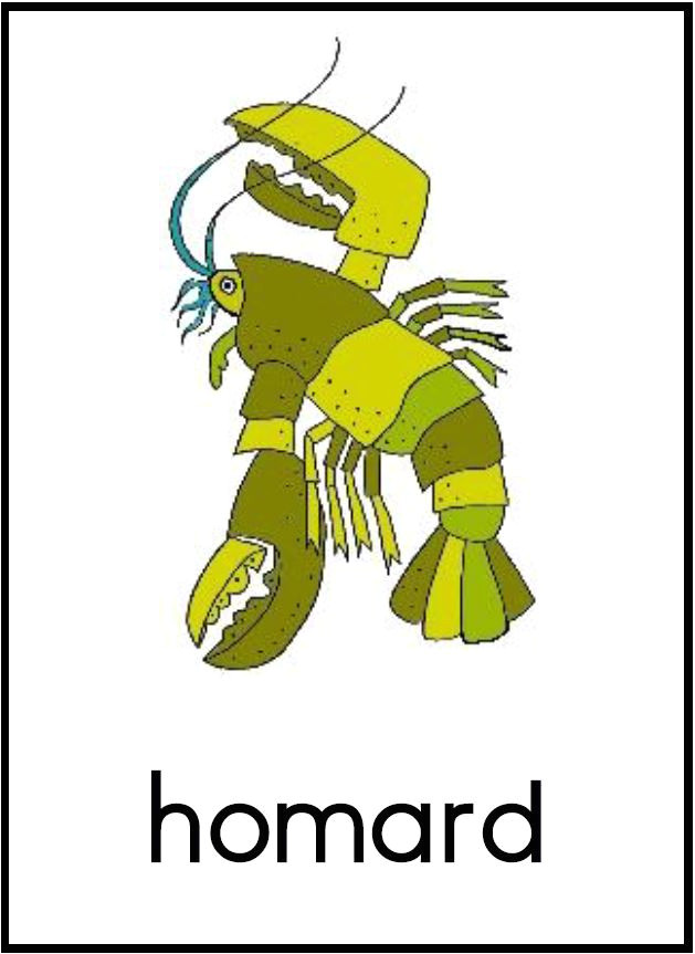 Coloriage Coccinelle Mal Lunée Coloriage Coccinelle Mal Lunee Ohbqfo