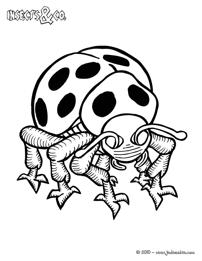 Coloriage Coccinelle Mal Lunée Coloriage Coccinelle Mal Lunee Ohbqfo