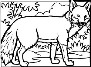 Coloriage Corbeau Renard Imprimer Dessin Le Corbeau Et Le Renard Az Coloriage