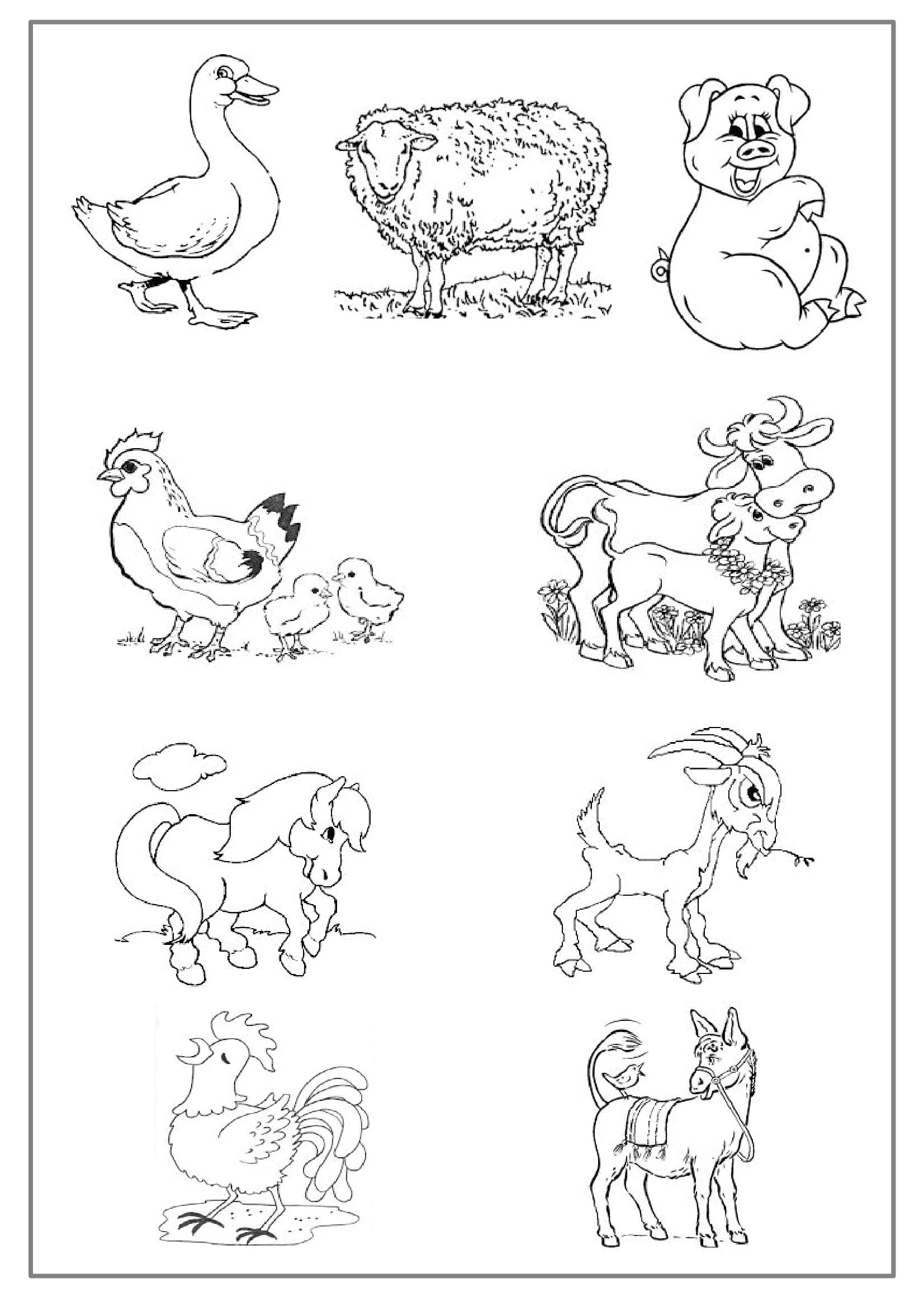 Coloriage D Animaux De Ferme Coloriages éducatifs Dessin Animaux De La Ferme à Colorier