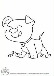 Coloriage D Animaux Mignon Dessin De Chiot Trop Mignon