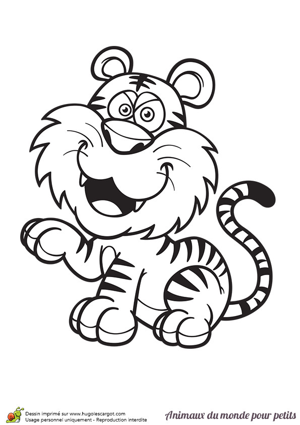 Coloriage D Animaux Pour Enfant Coloriage D Un Tigre Hugolescargot