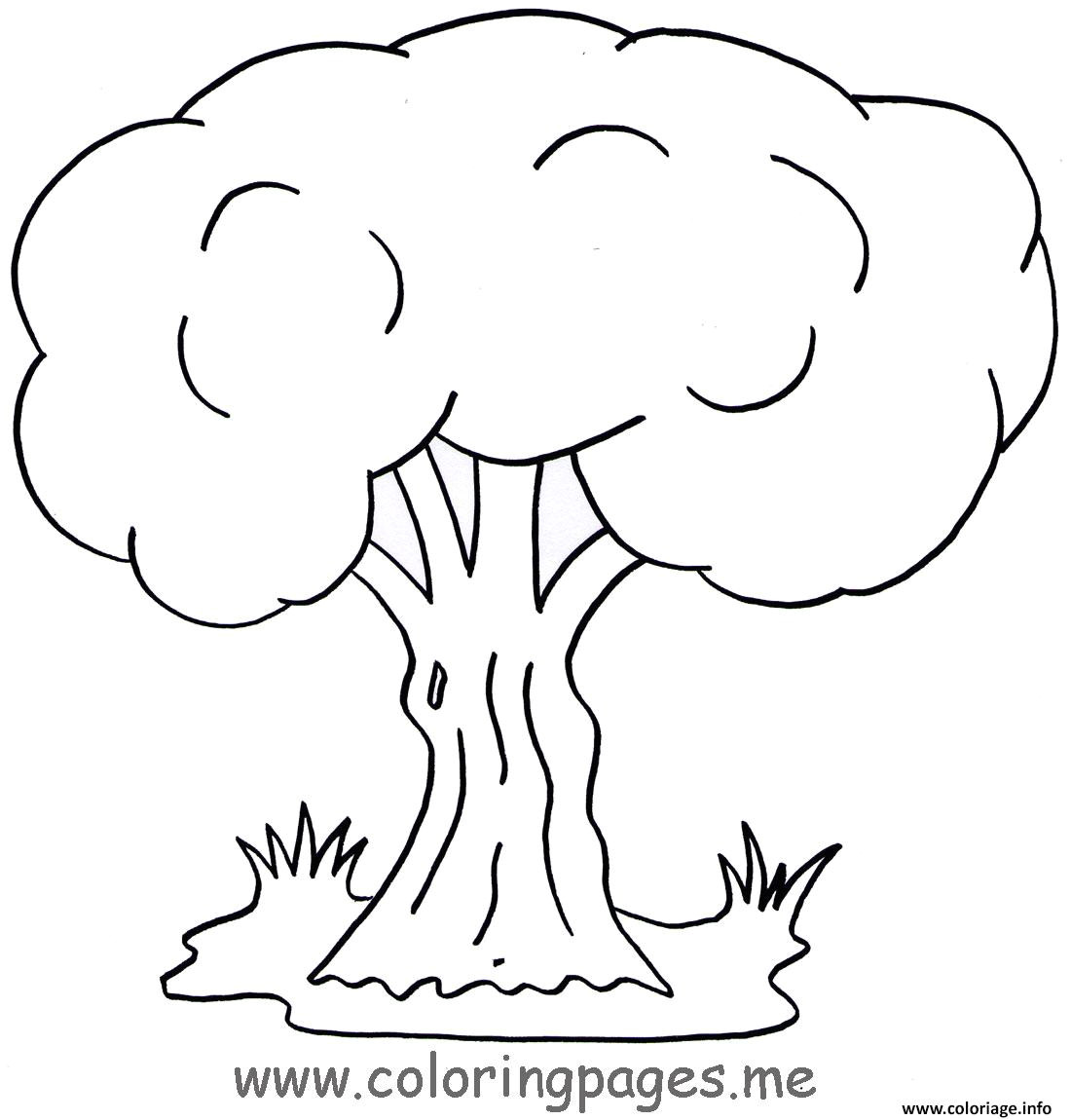Coloriage D Arbre A Imprimer Gratuit 10 Coloriage Tronc D Arbre Imprimer