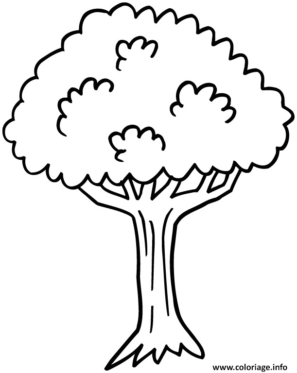 Coloriage D Arbre A Imprimer Gratuit Coloriage Arbre 7 Jecolorie