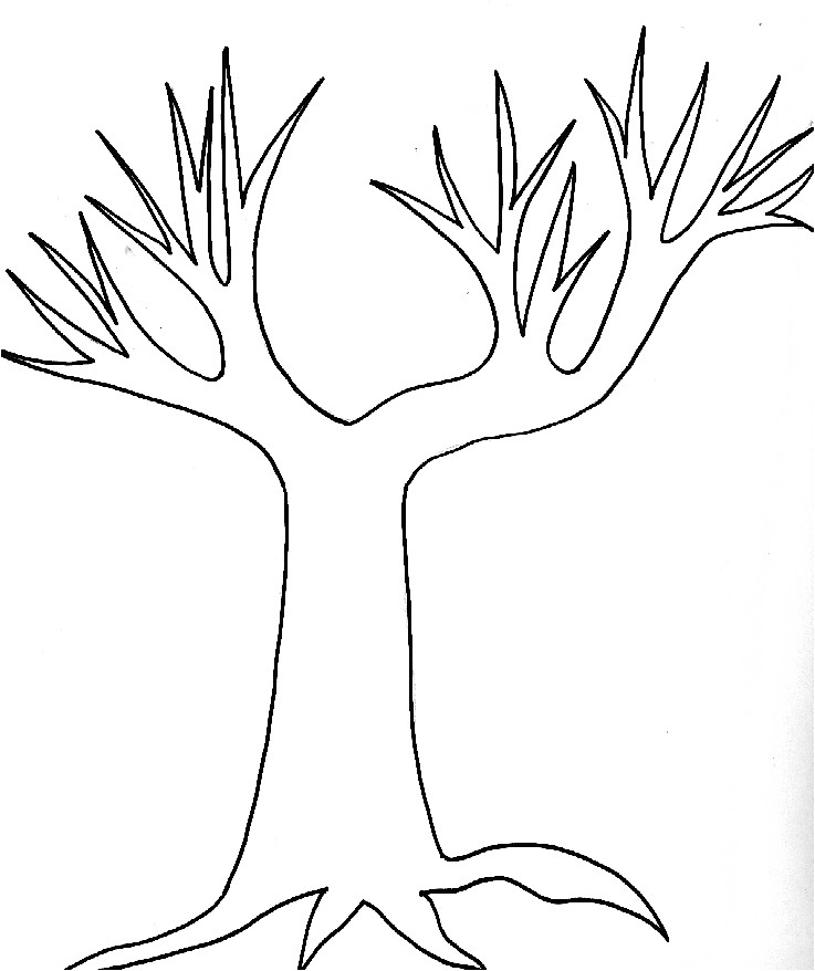 Coloriage D Arbre A Imprimer Gratuit Imprimer Modèle D Arbre 8 Tête à Modeler