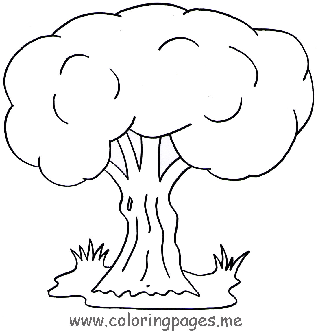 Coloriage D Arbre A Imprimer Gratuit Nos Jeux De Coloriage Arbre à Imprimer Gratuit Page 4 Of 7 Coloriage D Arbre A Imprimer Gratuit Nos Jeux De Coloriage Arbre à Imprimer Gratuit Page 4 Of 7