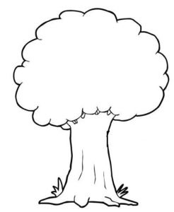 Coloriage D Un Arbre Arbre Automne Page 3