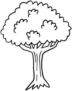 Coloriage D Un Arbre Coloriage Arbre Facile à Colorier Dessin Gratuit à Imprimer