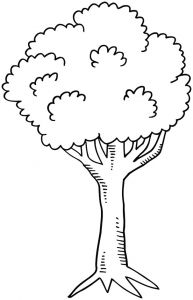 Coloriage D Un Arbre Dessin D Arbre A Imprimer Gallery Avec Et Dessin Branche D
