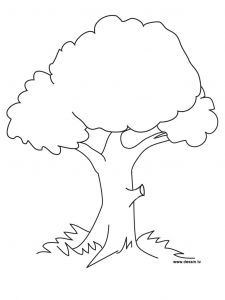 Coloriage D Un Arbre Dessin D Arbre Simple