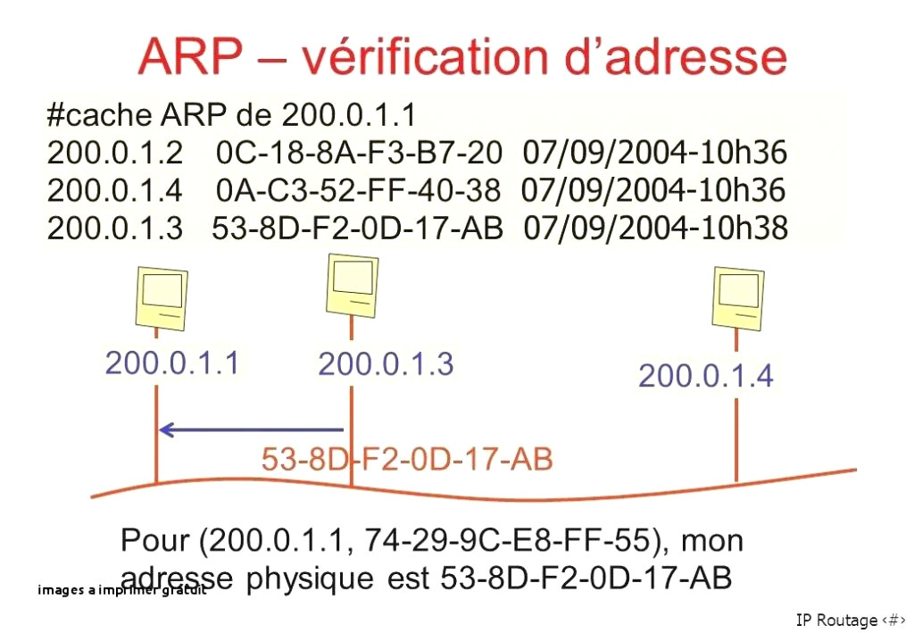 Coloriage D Un Bouquet De Fleurs Image Bouquet De Fleurs Anniversaire Beau Carte Anniversaire