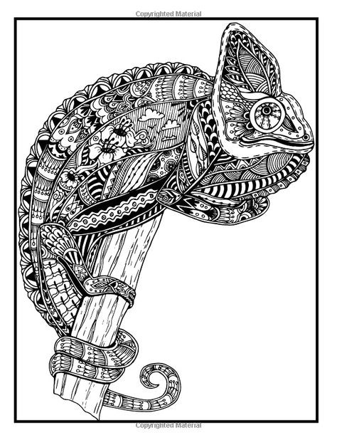 Coloriage D Un Cochon Pin On Malvorlagen Für Kinder Kostenlos Coloriage D Un Cochon Pin On Malvorlagen Für Kinder Kostenlos