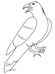 Coloriage D Un Corbeau Corbeau 4 Animaux – Coloriages à Imprimer