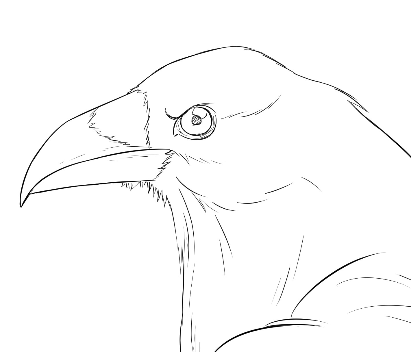 Coloriage D Un Corbeau Ment Réaliser Un Dessin De Corbeau Dessindigo