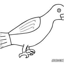 Coloriage D Un Corbeau Vidéos Les Fables De La Fontaine Le Corbeau Et Le Renard