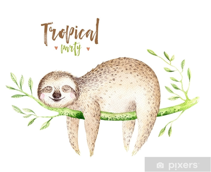 Coloriage D Un Palmier Dessin Facile Fleur Exotique