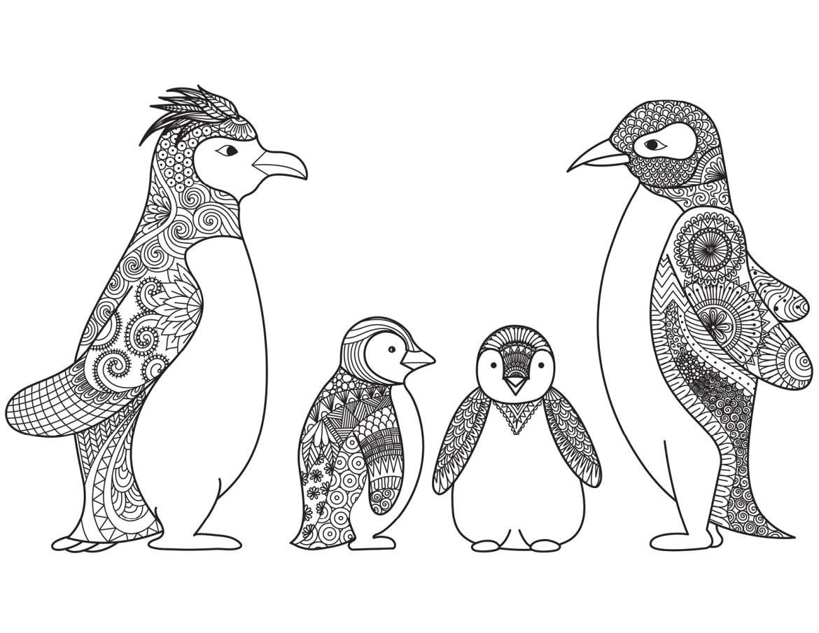 Coloriage D Un Pingouin Dessin De Pingouin Facile