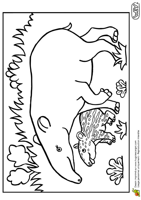 Coloriage D Une Maman Coloriage Pour Maman Dessin Colorier D Une Maman Tapir Et