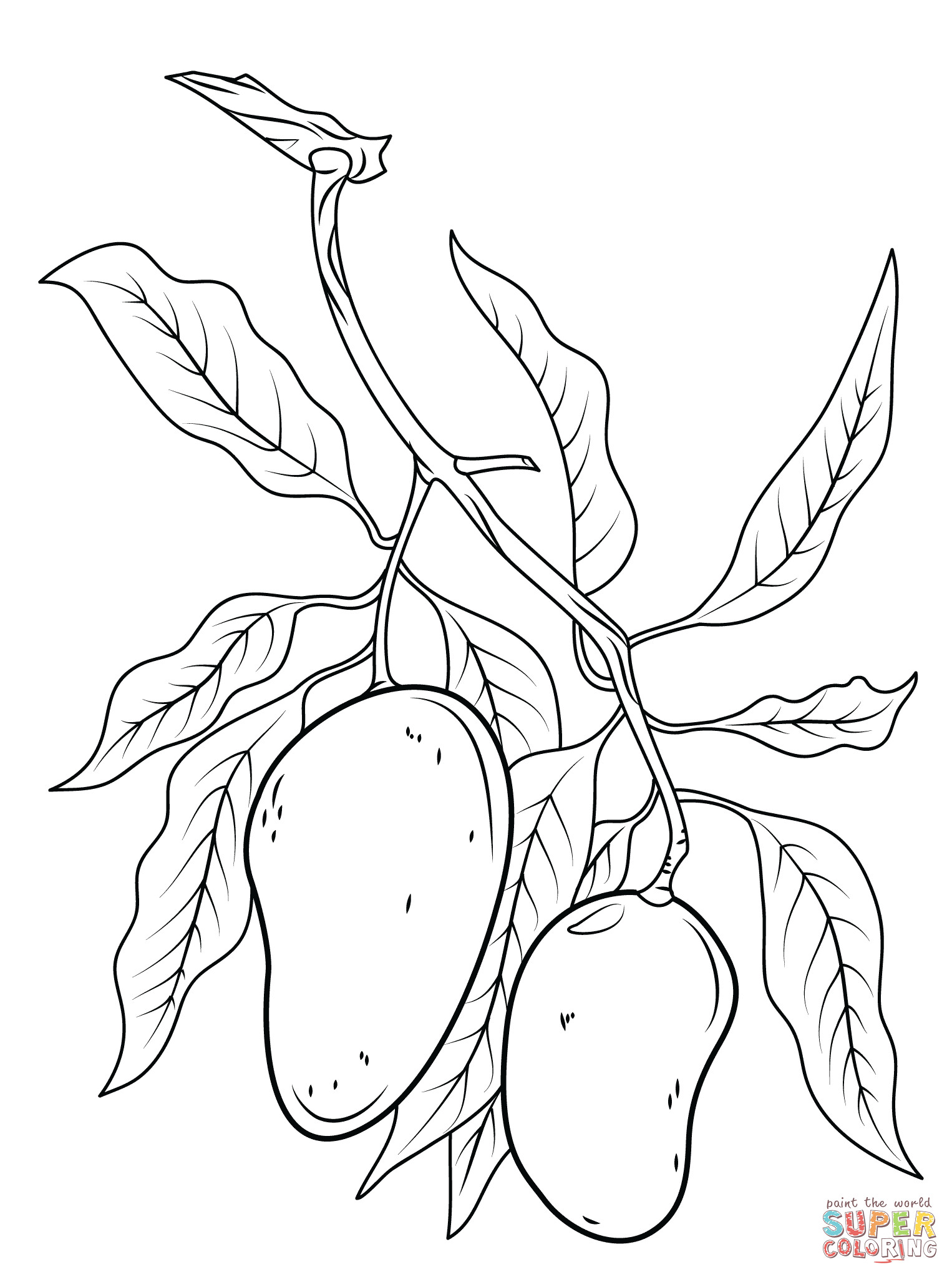 Coloriage D Une Mangue Coloriage Branche De Mangue