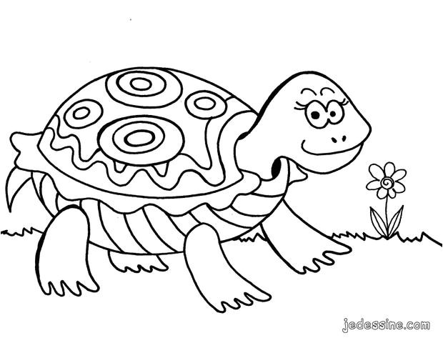 Coloriage D Une tortue Coloriages Coloriage D Une tortue Fr Hellokids