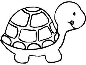 Coloriage D Une tortue Dessin Simple tortue