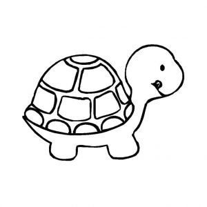 Coloriage D Une tortue tortoise 5 Animals – Printable Coloring Pages