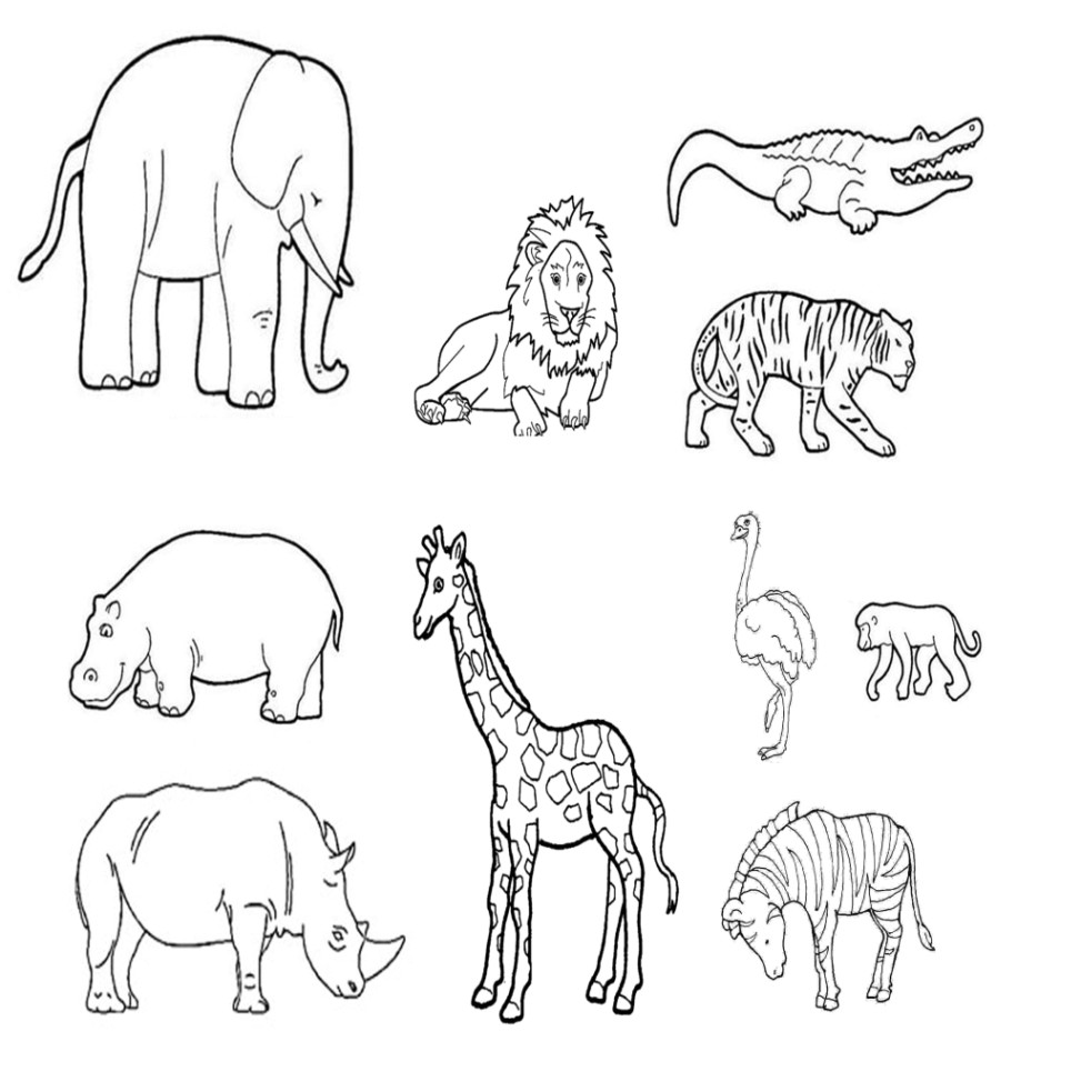 Coloriage De Animaux De La Savane Coloriage Animaux De La Savane Maternelle Archives