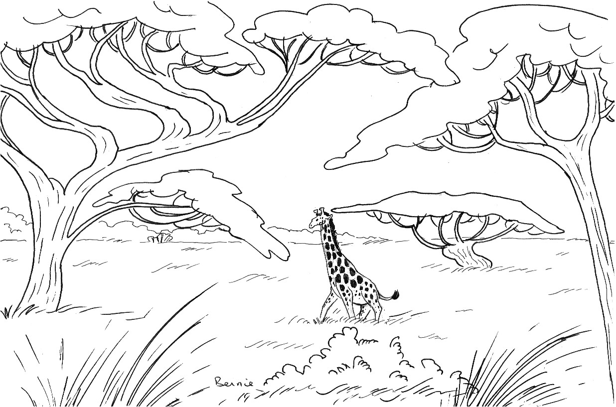 Coloriage De Animaux De La Savane Coloriage Savane
