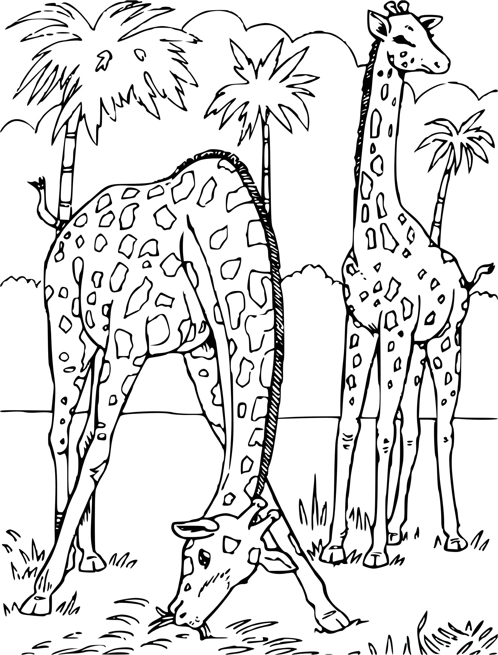 Coloriage De Animaux De La Savane Meilleur De Coloriage A Imprimer Gratuit Animaux De La