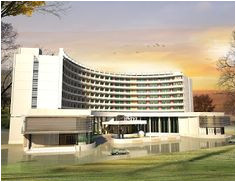 Coloriage De Bébé Chiot Les 80 Meilleures Images De Hotel