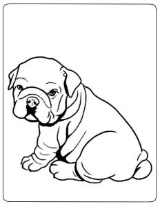 Coloriage De Bouledogue Francais Coloriage Bouledogue Jobstips